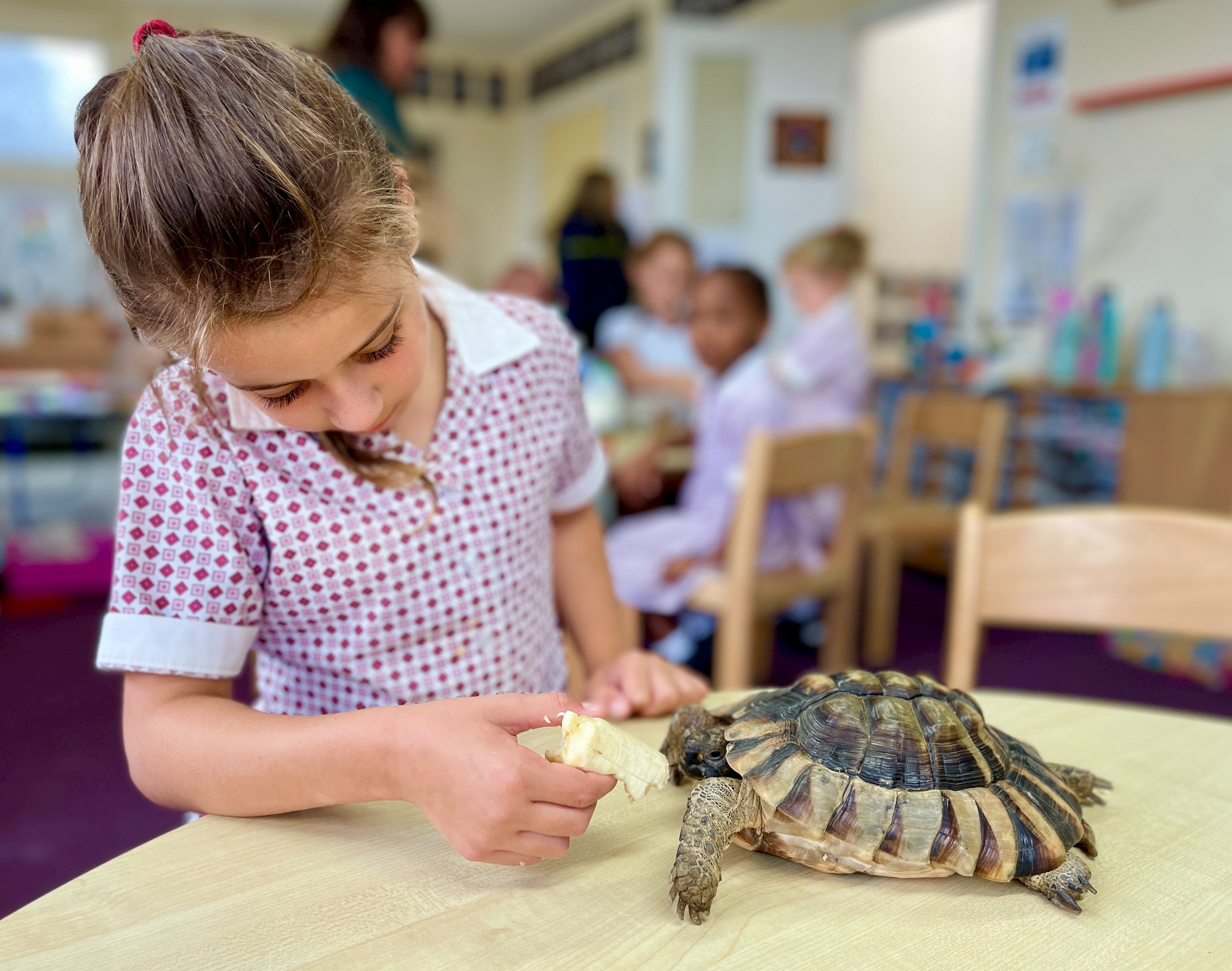 A photo of claires court nursery pupils playing with kinetic sand