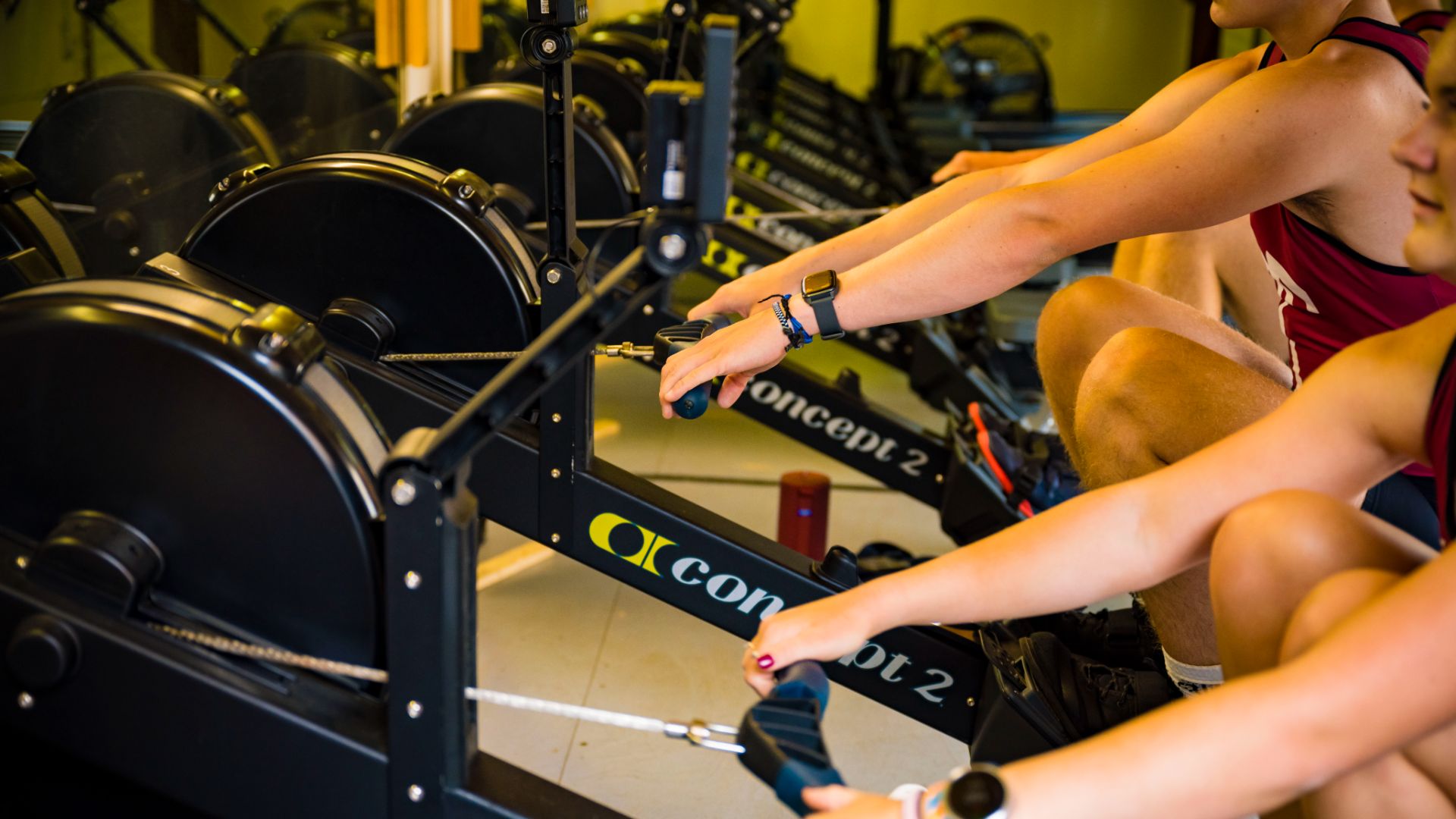 photo of sixth form students in the gym using rowing machines