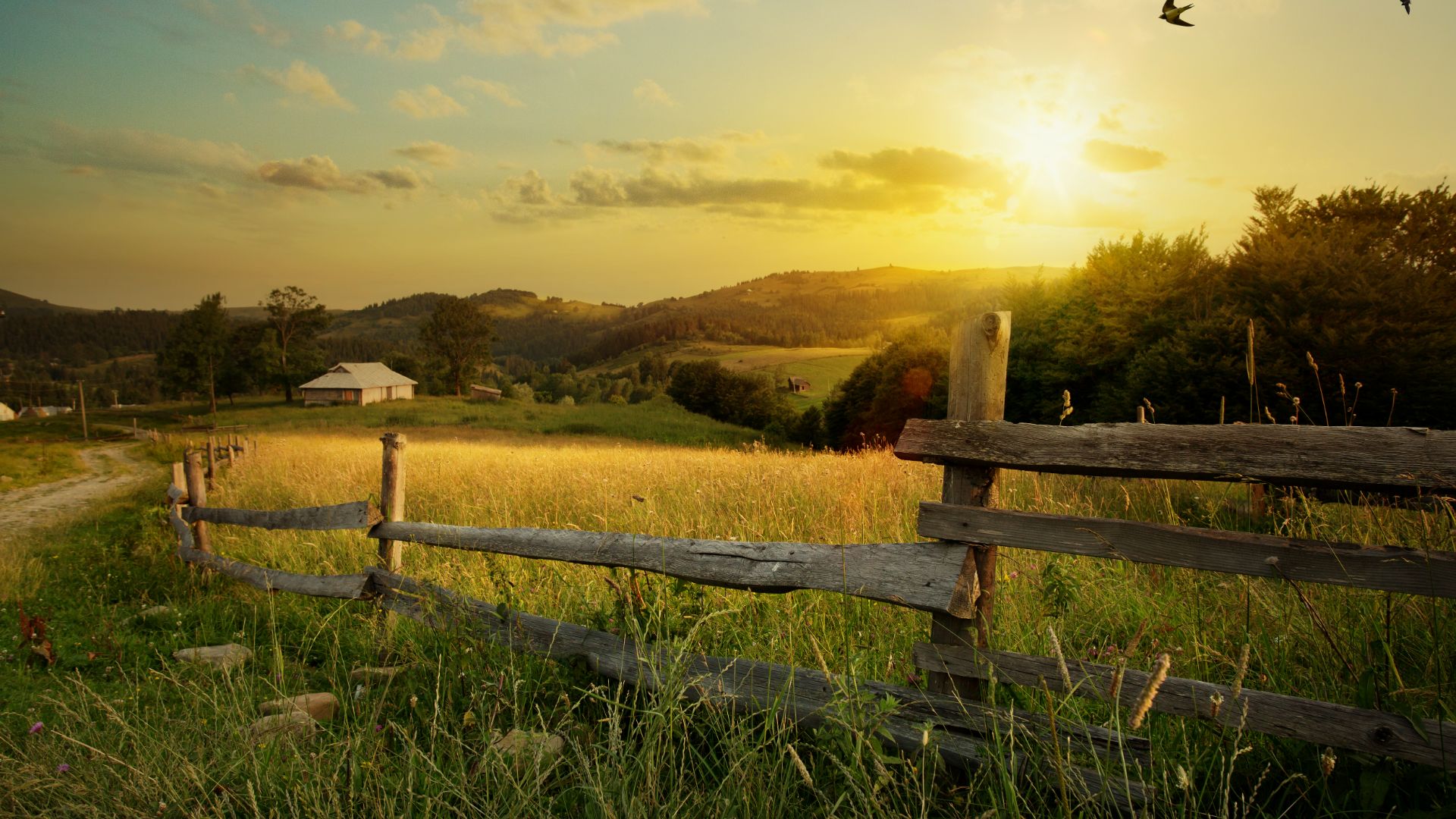 photo of a farm